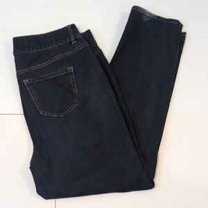 Lane Bryant High Rise Straight Jeans